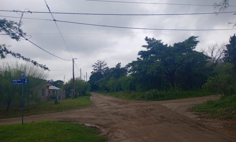 IMG 20250326 161630 - Diario Resumen de la región