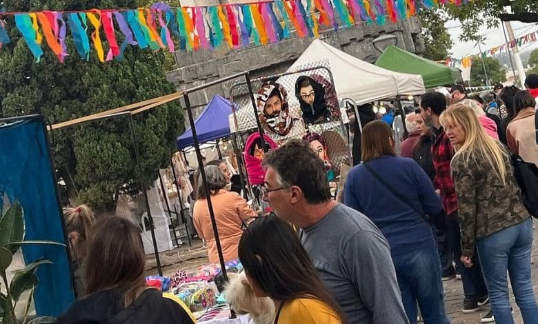 feria desapego - Diario Resumen de la región