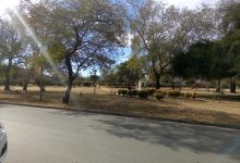 IMG 20250530 WA0003 - Diario Resumen de la región