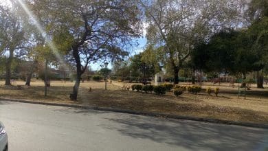 IMG 20250530 WA0003 - Diario Resumen de la región