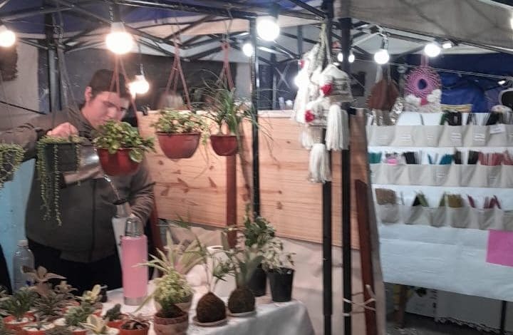 feria paseo del virrey 1 - Diario Resumen de la región