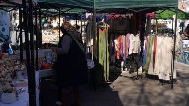feria paseo del virrey 2 - Diario Resumen de la región