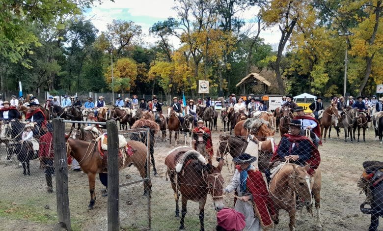 Imagen de WhatsApp 2025 04 12 a las 12.58.02 fc183807 - Diario Resumen de la región