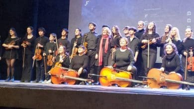 ensamble de cuerdas alta gracia - Diario Resumen de la región