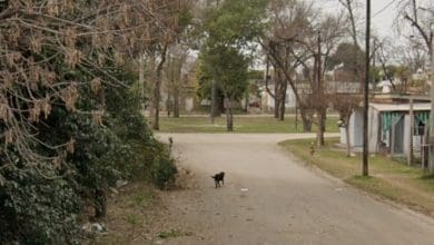 IMG 20250918 095820 - Diario Resumen de la región