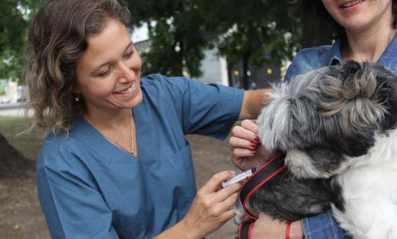 vacunacion antirrabica - Diario Resumen de la región