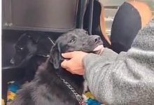 IMG 20251030 130938 - Diario Resumen de la región