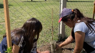 IMG 20251030 182353 - Diario Resumen de la región