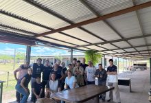 Imagen de WhatsApp 2025 10 23 a las 09.07.26 35c6605d - Diario Resumen de la región