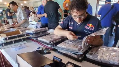 065a91db 0450 4664 8475 33aae97e3771 1 - Diario Resumen de la región