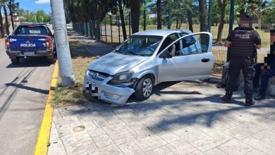 IMG 20251110 WA00011 - Diario Resumen de la región