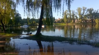 IMG 20251128 WA0002 - Diario Resumen de la región