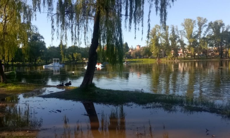 IMG 20251128 WA0002 - Diario Resumen de la región