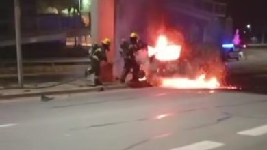 IMG 20251102 094303 - Diario Resumen de la región