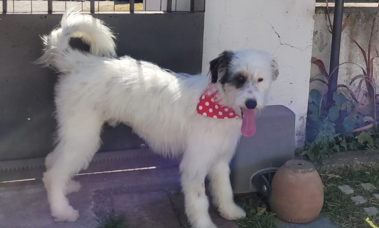 IMG 20251102 135653 - Diario Resumen de la región