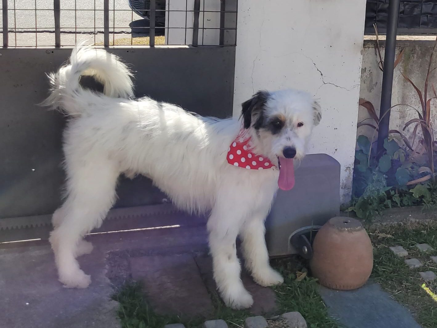 IMG 20251102 135653 - Diario Resumen de la región