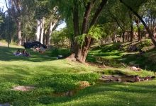 Imagen de WhatsApp 2025 11 07 a las 11.05.39 60309ed0 - Diario Resumen de la región