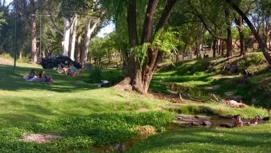 Imagen de WhatsApp 2025 11 07 a las 11.05.39 60309ed0 - Diario Resumen de la región