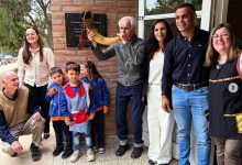 Imagen de WhatsApp 2025 11 07 a las 12.40.02 65d53dfa - Diario Resumen de la región