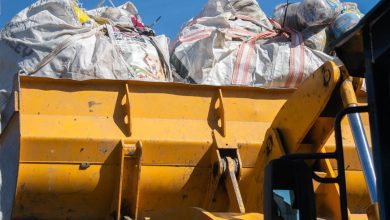 Imagen de WhatsApp 2025 11 10 a las 12.45.14 8117a6cf - Diario Resumen de la región