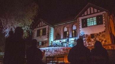 Imagen de WhatsApp 2025 11 14 a las 08.13.53 c9bed044 - Diario Resumen de la región