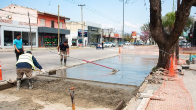 Imagen de WhatsApp 2025 11 14 a las 11.04.39 cc50cd01 - Diario Resumen de la región