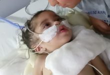 WhatsApp Image 2025 11 05 at 12.03.01 PM 1 - Diario Resumen de la región