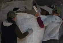 WhatsApp Image 2025 11 07 at 11.04.34 AM - Diario Resumen de la región