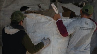 WhatsApp Image 2025 11 07 at 11.04.34 AM - Diario Resumen de la región