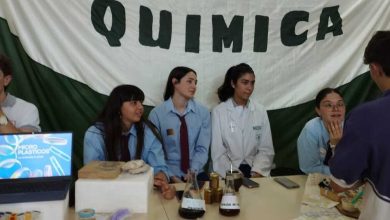 WhatsApp Image 2025 11 14 at 1.44.10 PM 1 - Diario Resumen de la región