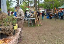 encuentro con los saberes del monte y feria de semillas jose de la quintana - Diario Resumen de la región