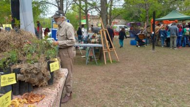 encuentro con los saberes del monte y feria de semillas jose de la quintana - Diario Resumen de la región