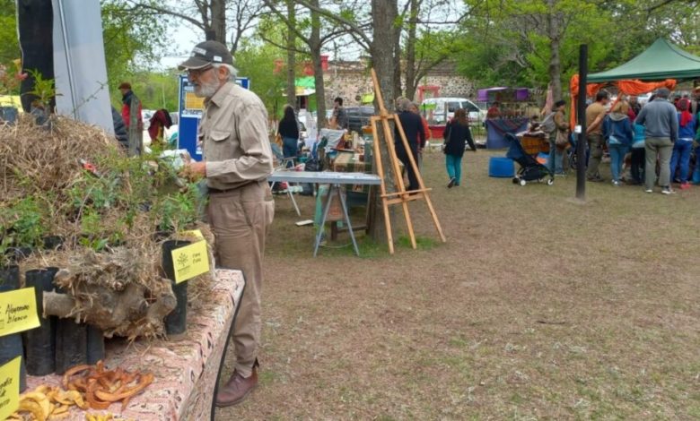 encuentro con los saberes del monte y feria de semillas jose de la quintana - Diario Resumen de la región