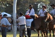 fiesta gaucha potrero 2 medium size 1 - Diario Resumen de la región