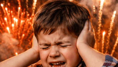 888da05b d818 4908 81c7 1a92a7a83e01 1 - Diario Resumen de la región