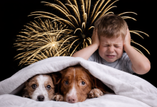 ChatGPT Image 16 dic 2025 14 04 32 - Diario Resumen de la región