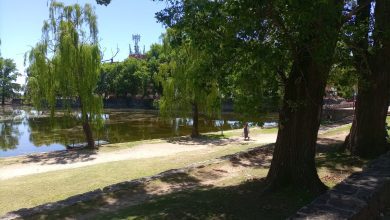 IMG 20251210 WA0002 - Diario Resumen de la región