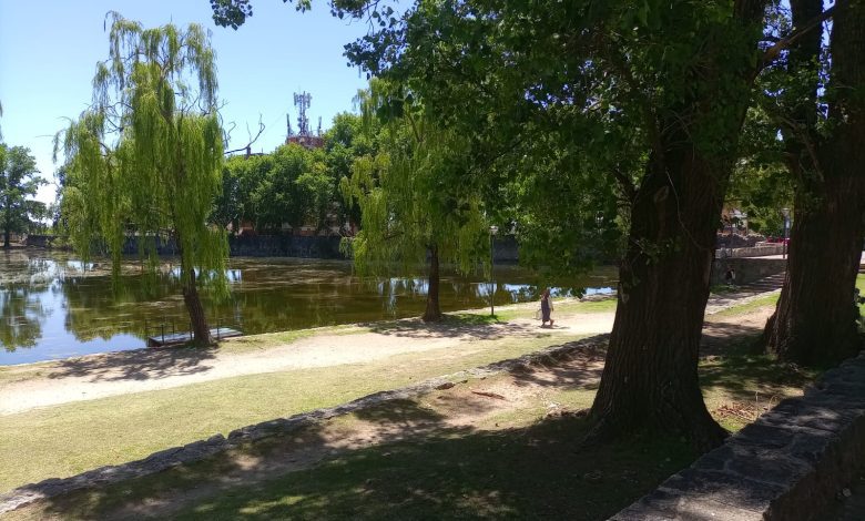 IMG 20251210 WA0002 - Diario Resumen de la región