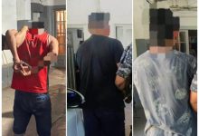 IMG 20251211 112221 - Diario Resumen de la región