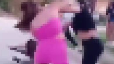 IMG 20251219 134752 - Diario Resumen de la región