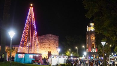 Imagen de WhatsApp 2025 12 04 a las 11.07.14 ef601995 - Diario Resumen de la región