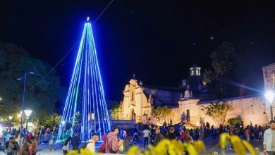 Imagen de WhatsApp 2025 12 05 a las 11.14.39 9c92c504 - Diario Resumen de la región