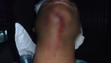 Imagen 271360 - Diario Resumen de la región