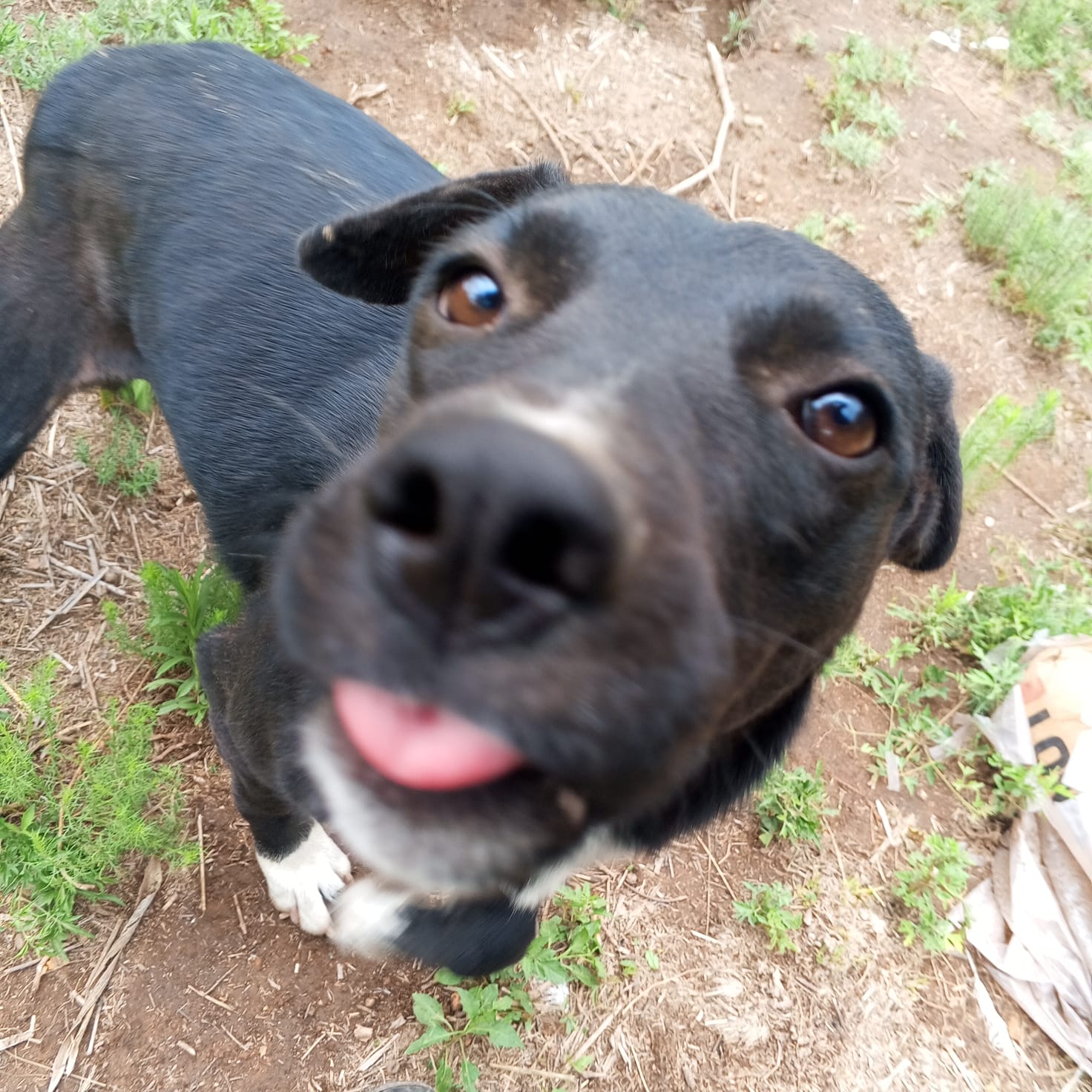 WhatsApp Image 2025 12 01 at 7.33.42 PM - Diario Resumen de la región