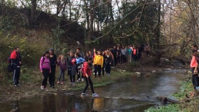 caminata recreativa 960x720 1 - Diario Resumen de la región