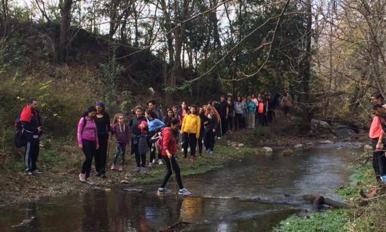 caminata recreativa 960x720 1 - Diario Resumen de la región
