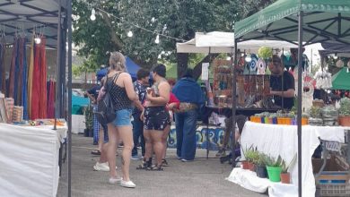 feria paseo del virrey - Diario Resumen de la región