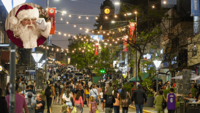 paseo del centro navidad - Diario Resumen de la región