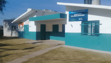 Gemini Generated Image 1velzq1velzq1vel 2 - Diario Resumen de la región