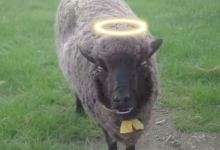 Gemini Generated Image cic5ufcic5ufcic5 1 - Diario Resumen de la región